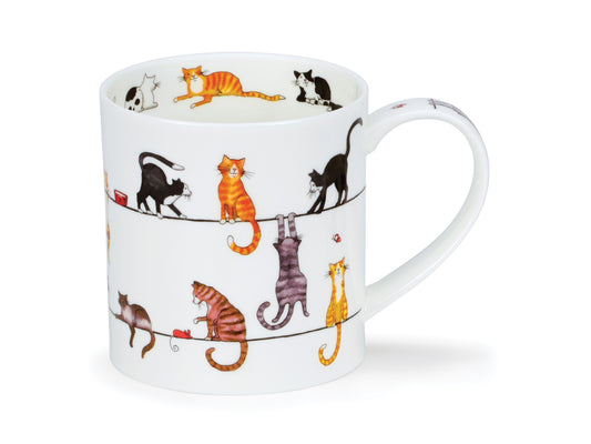 Dunoon Orkney Live Wires Cat Mug