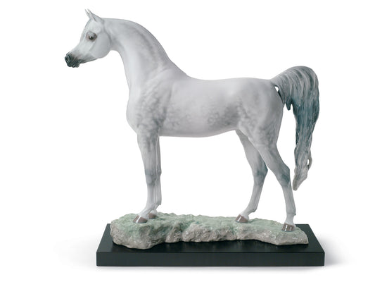 Lladro Arabian Pure Breed (Limited Edition of 2000)