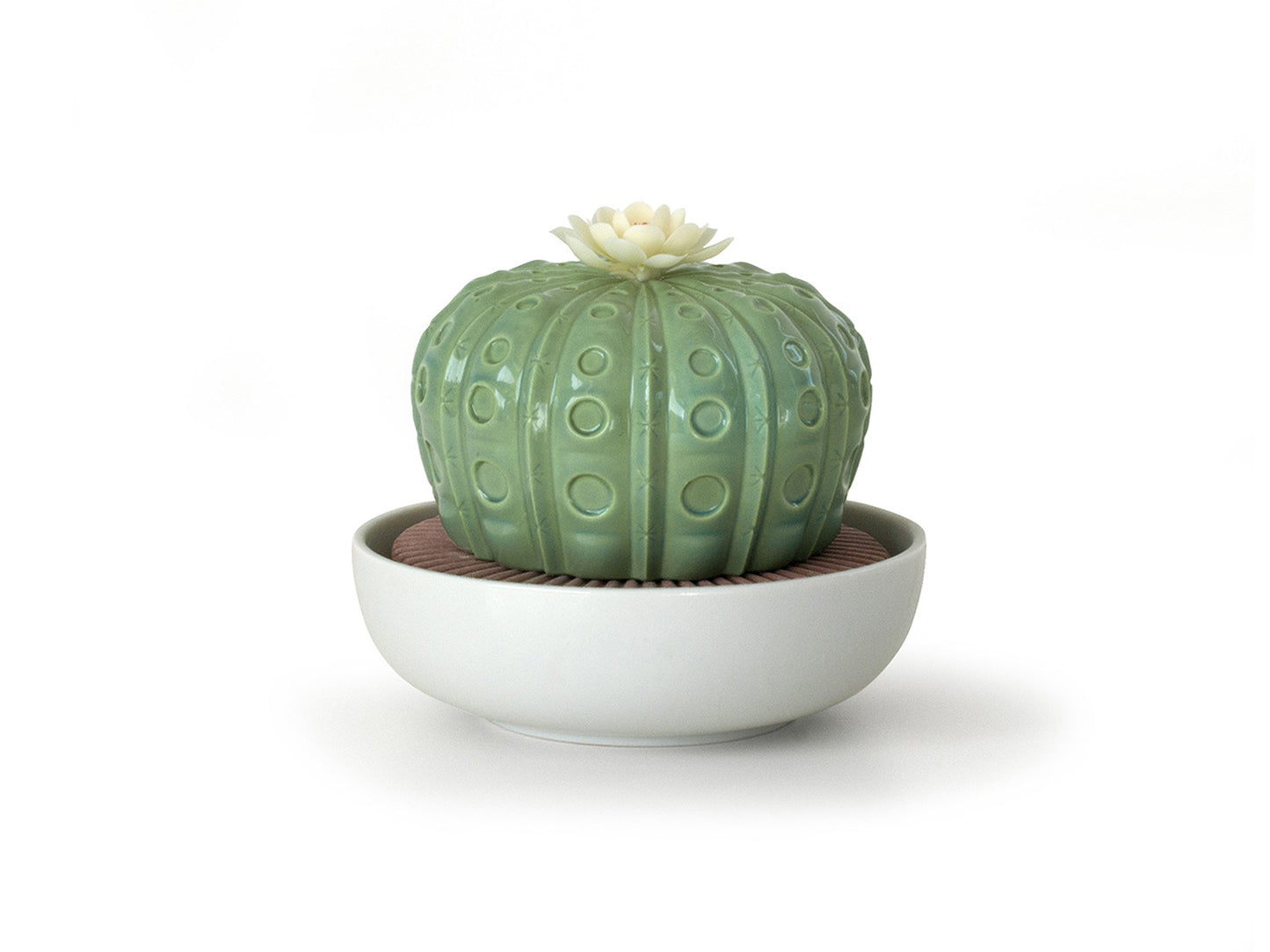 Lladro Porcelain Astrophytum Cactus- Night Approaches 01040191