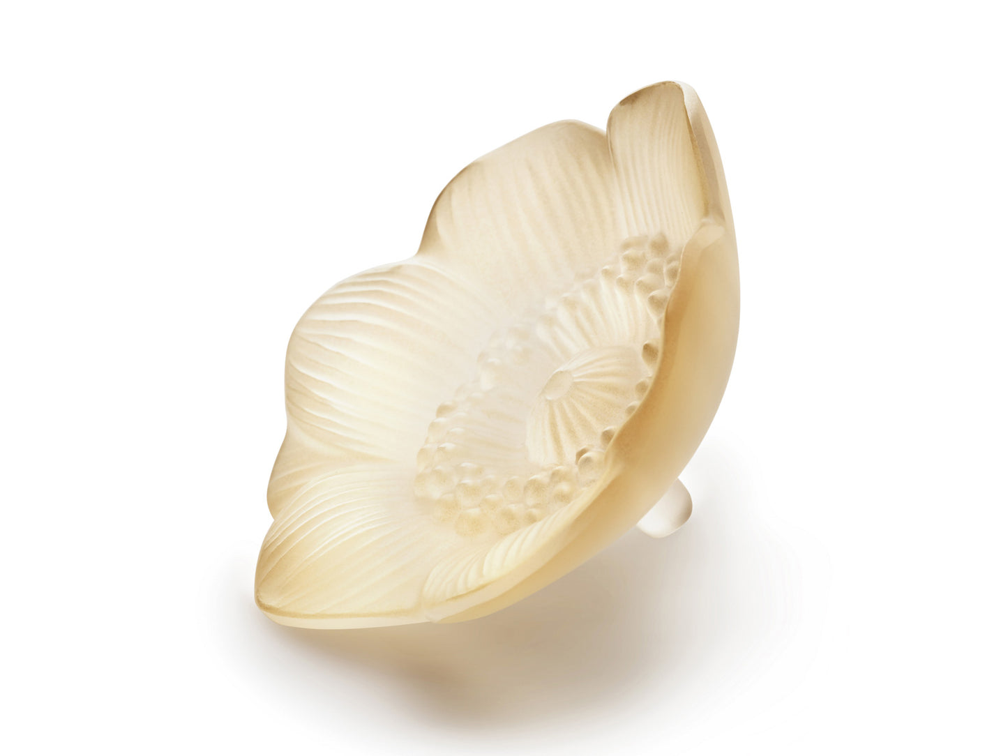 Lalique Anemone Sculpture Small - Gold Luster
