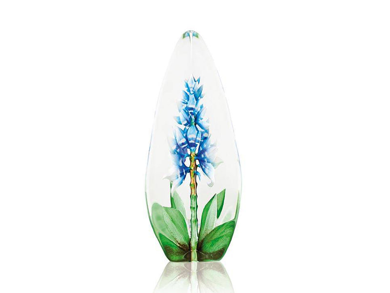Maleras Blue Orchid