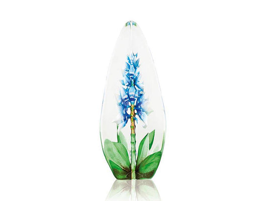 Maleras Blue Orchid