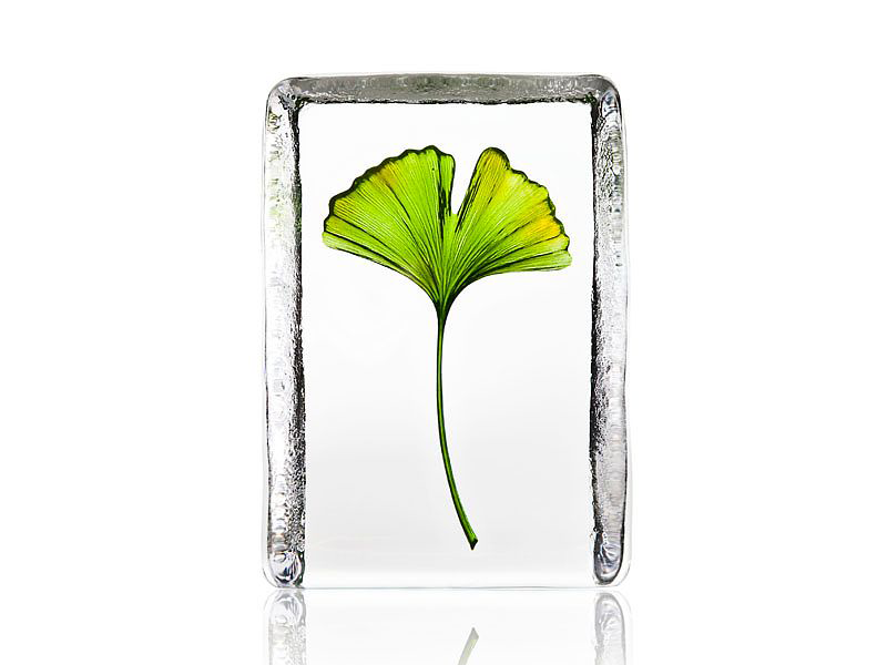 Maleras Crystal Global Icon Ginko Leaf