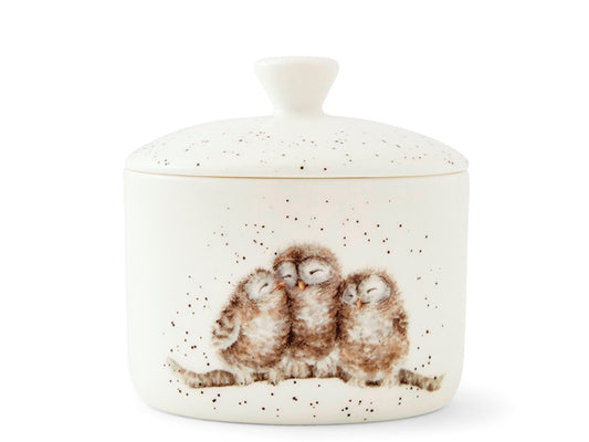 A small fine bone china storage jar with lid. Adorning the front are a trio of owls cuddled together in a watercolour illustration.