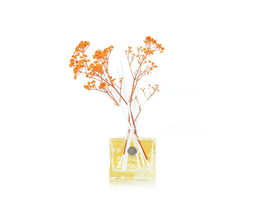 A glass bottle with an orange background with white reeds and orange gypsophila coming out of the top