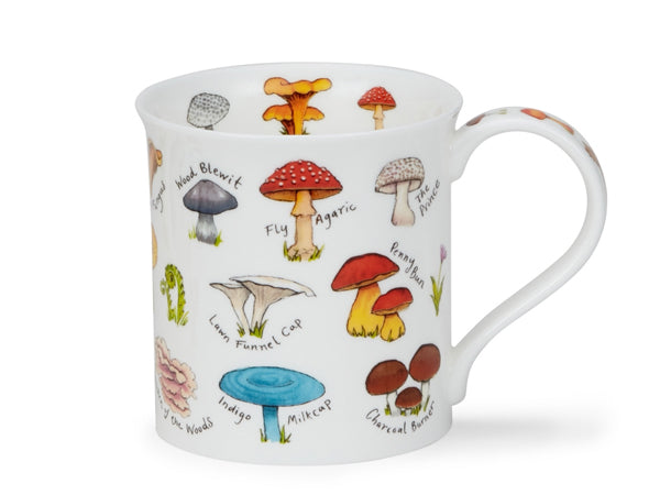 Dunoon Bute Mushroom and Toadstool Red mug featuring illustrated mushrooms and toadstools on a white background
