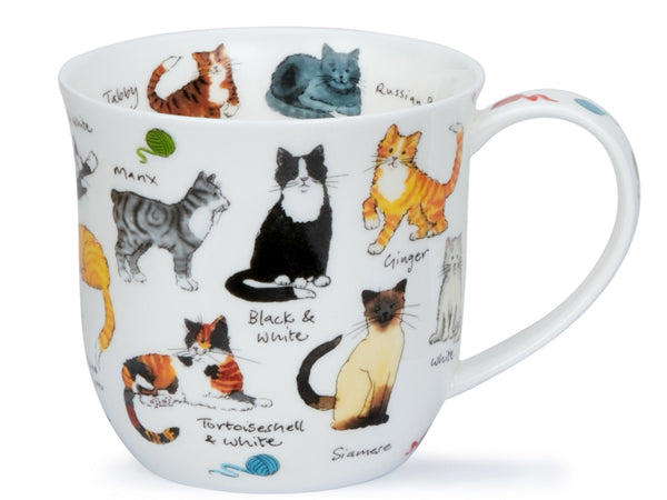 Dunoon Cumbrae Cat Breeds fine bone china mug with illustrated cats, breed names and balls of wool on a white background