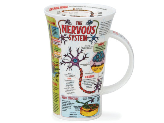 A large fine bone china mug with detailed illustrations and facts of the nervous system.
