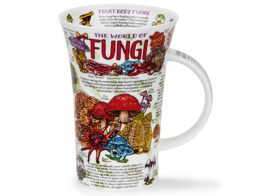 Dunoon Glencoe World of Fungi mug featuring colourful illustrated mushrooms, fungi varieties and educational text on a white background