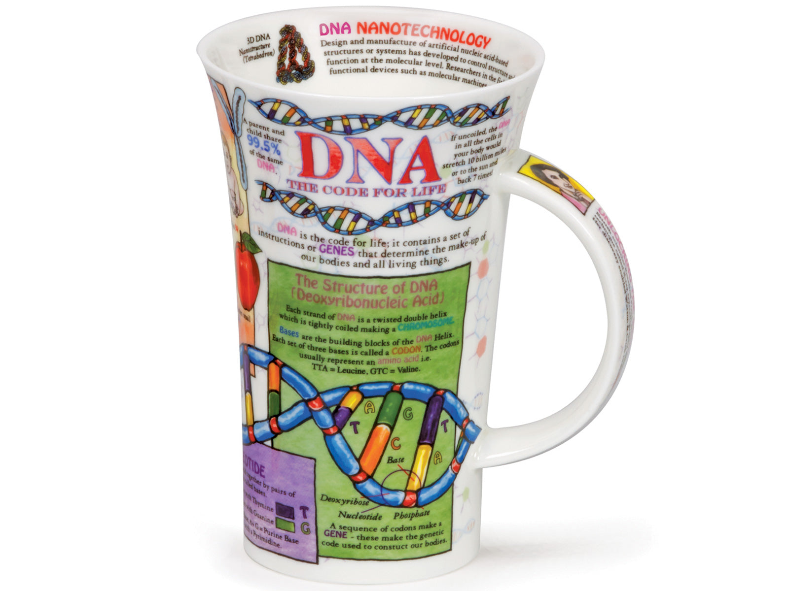 Dunoon Glencoe DNA Mug is a large fine bone china mug that is packed with educational information surrounding human DNA, accompanied by an array of colourful diagrams to bring the information to life.