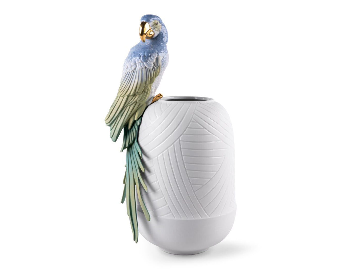 Colourful Macaw bird perches on the side of the white vase