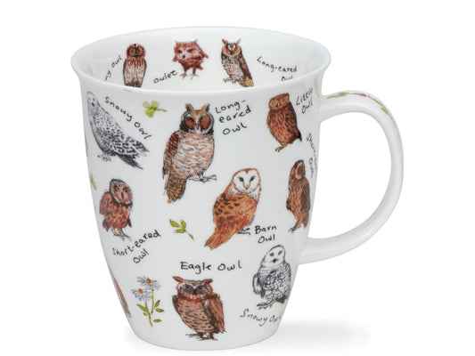 Dunoon Nevis British Life Owls mug featuring illustrated owl species with handwritten labels on a white background