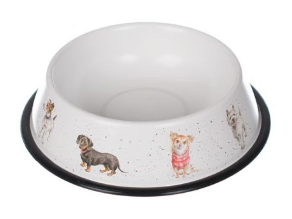A white steel dog bowl with a black rubber rim, decorated with watercolour paintings of different dog breeds