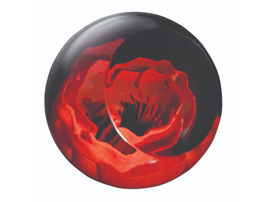Caithness Glass Poppy Paperweight
