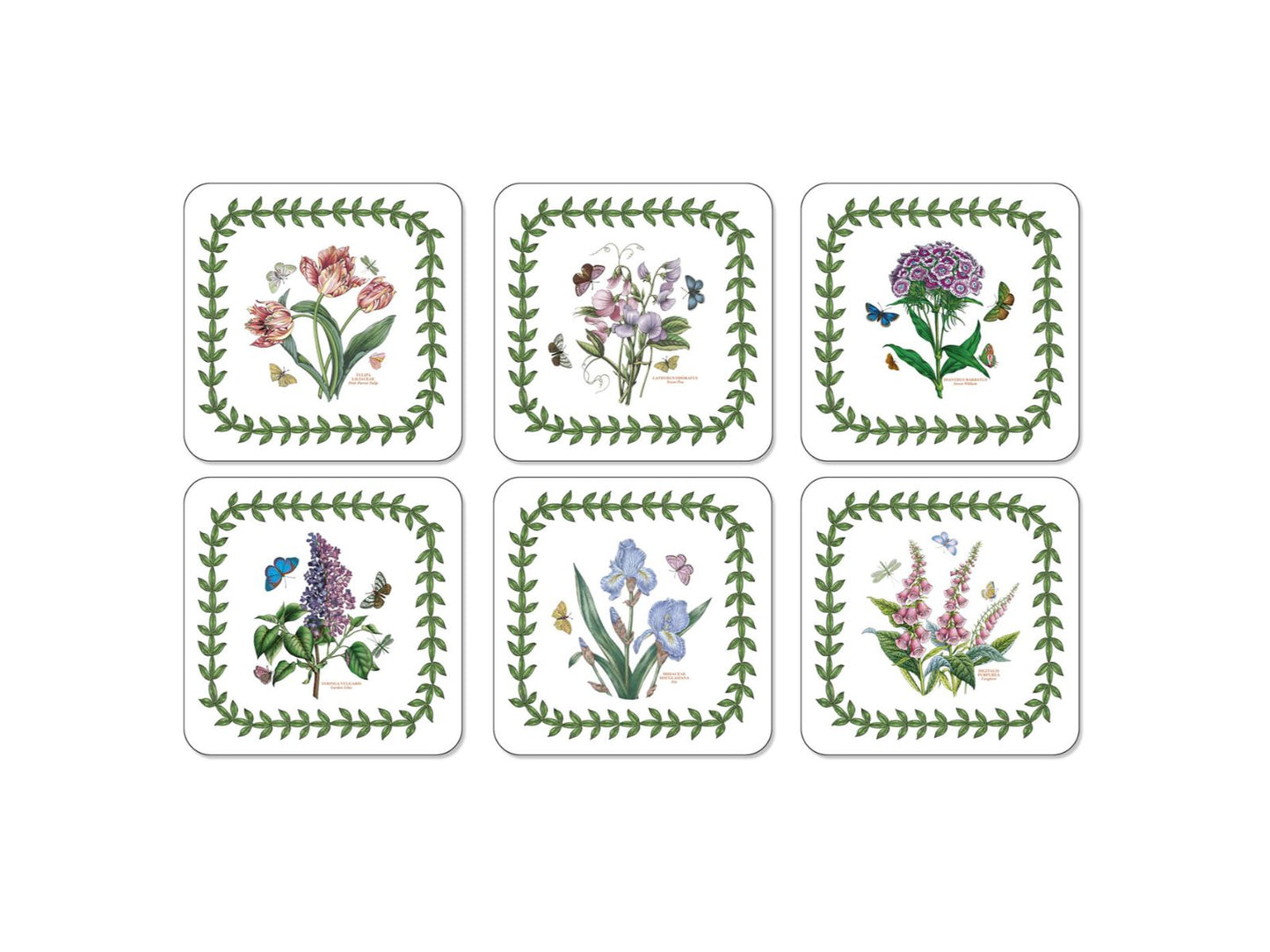 Buy these Portmeirion Botanic Garden Coasters here