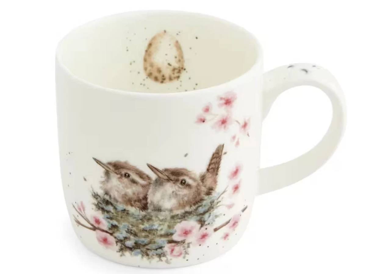 Royal Worcester Wrendale Mug - Feather Your Nest